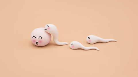 Unfruchtbarkeit beim Mann