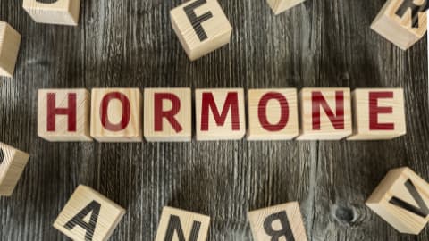 Störung des Hormonhaushalts und die Fertilität