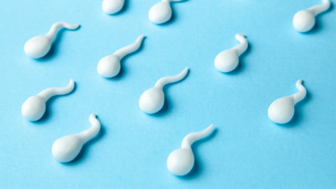 So verbesserst Du Deine Spermienqualität