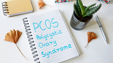 PCO-Syndrom: Hormonstörung mit Einfluss auf den Kinderwunsch
